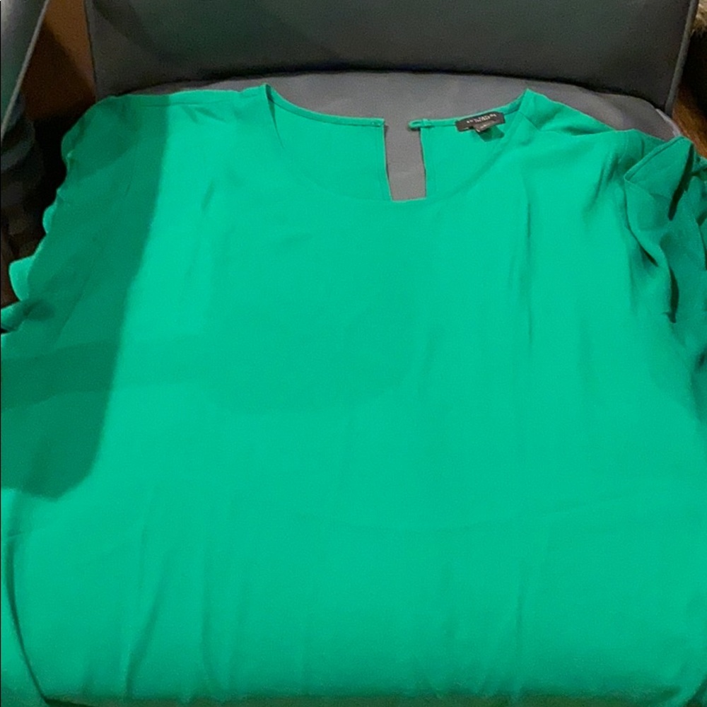 Brand new never wore Ann Taylor dress shirt